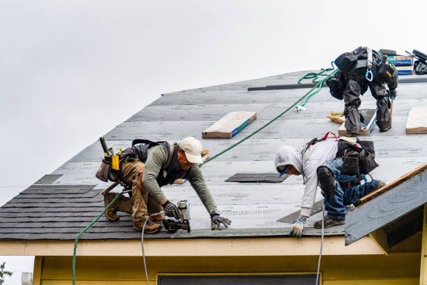Professional Roofing technician working in Marshall, NC